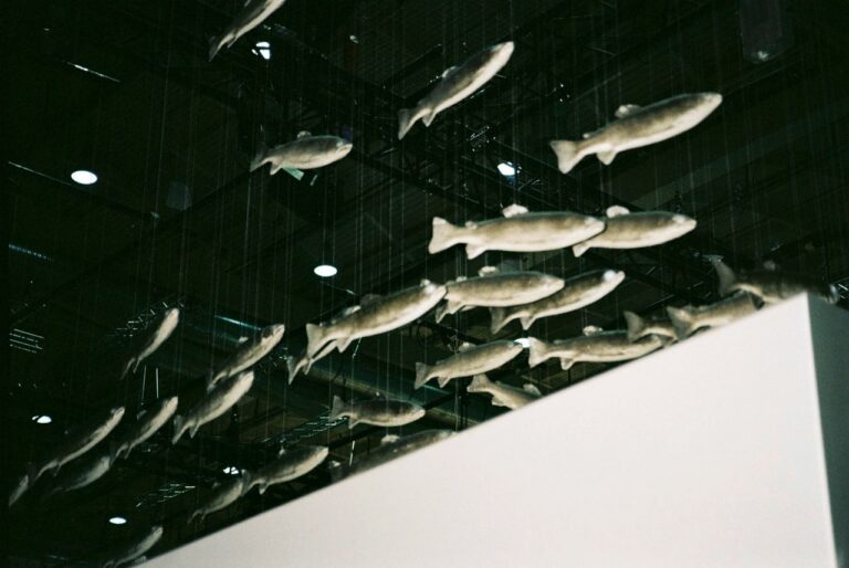 Die analoge Fotografie zeigt Fischfiguren, die von der Decke einer Messehalle hängen.